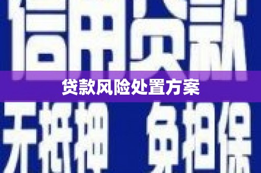 马山贷款风险处置方案