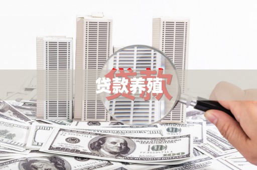 马山贷款养殖