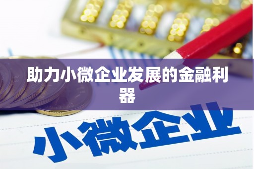马山助力小微企业发展的金融利器