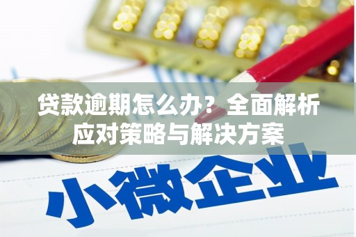 马山贷款逾期怎么办？全面解析应对策略与解决方案