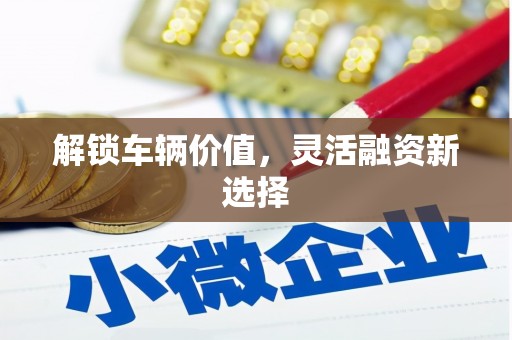 马山解锁车辆价值，灵活融资新选择