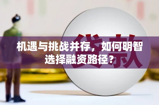 马山机遇与挑战并存，如何明智选择融资路径？