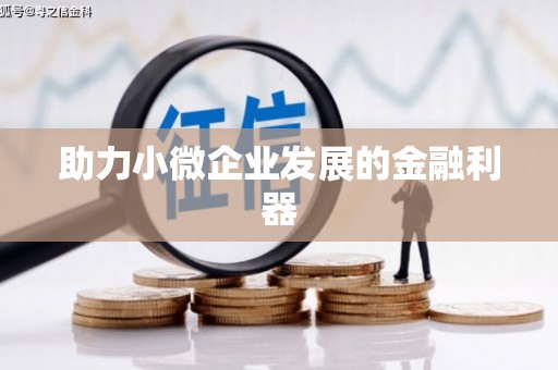 马山助力小微企业发展的金融利器