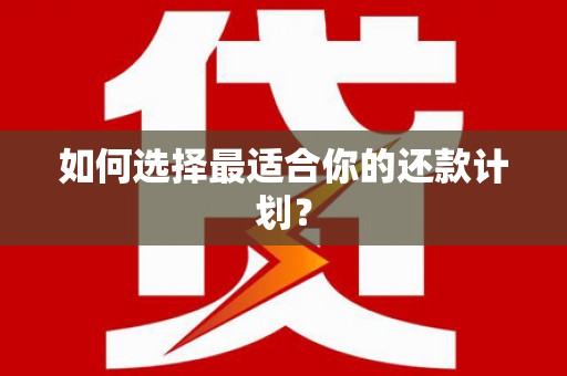 马山如何选择最适合你的还款计划？