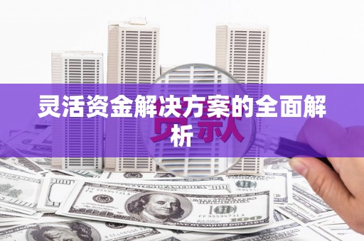马山灵活资金解决方案的全面解析